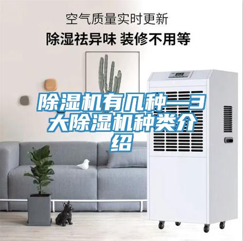 MR.好色破解版有几种—3大MR.好色破解版种类介绍