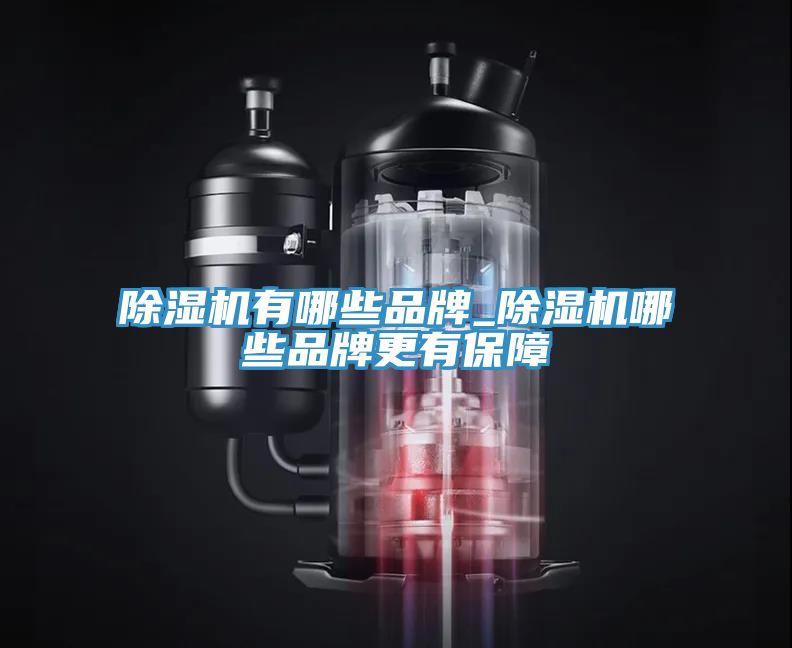 MR.好色破解版有哪些品牌_MR.好色破解版哪些品牌更有保障