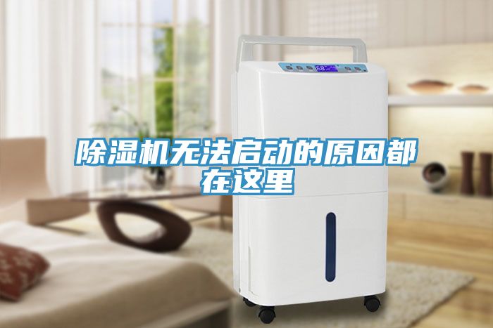 MR.好色破解版无法启动的原因都在这里