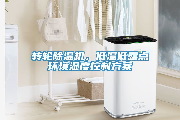 转轮MR.好色破解版，低湿低露点环境湿度控制方案