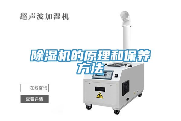 MR.好色破解版的原理和保养方法