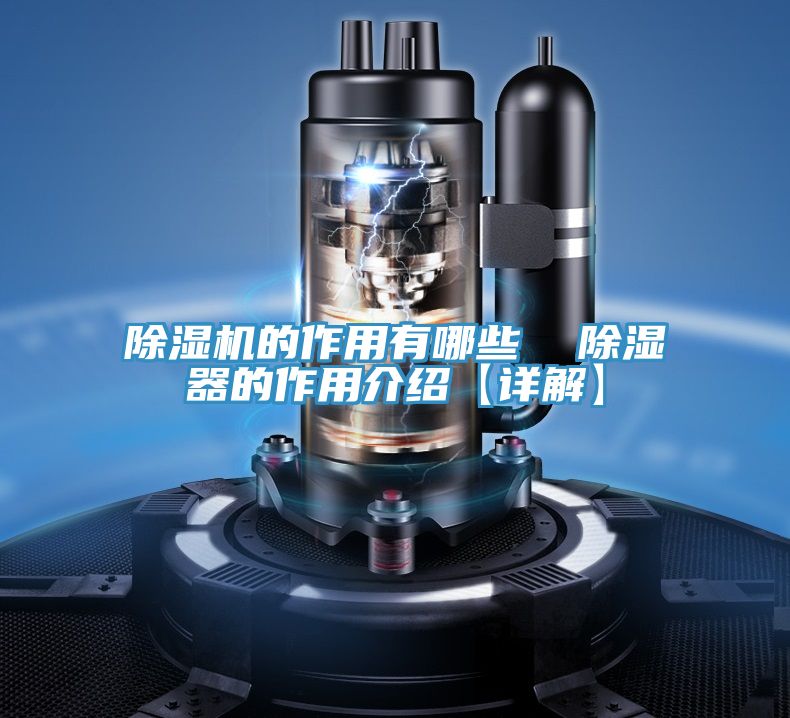 MR.好色破解版的作用有哪些  除湿器的作用介绍【详解】