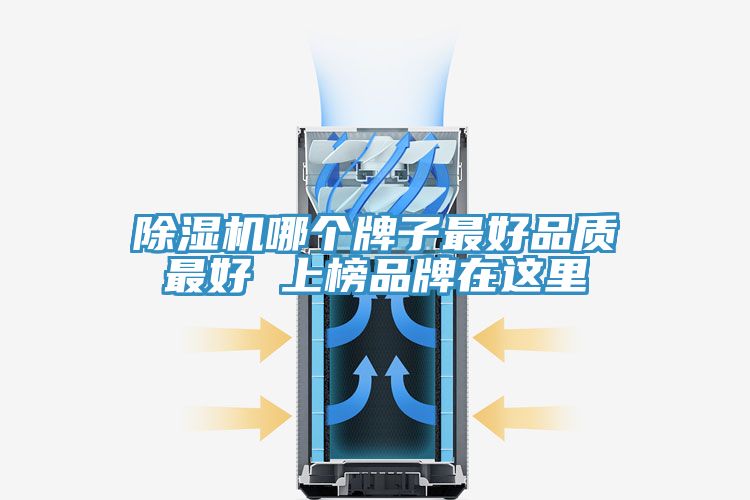 MR.好色破解版哪个牌子最好品质最好 上榜品牌在这里