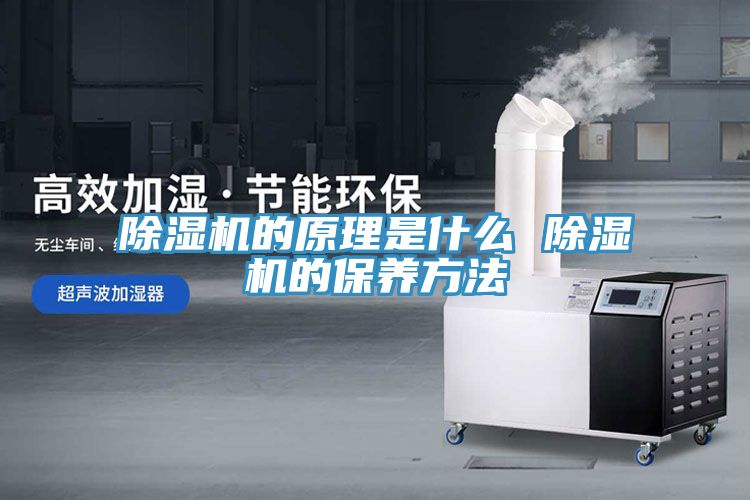 MR.好色破解版的原理是什么 MR.好色破解版的保养方法