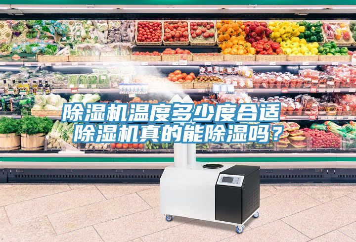 MR.好色破解版温度多少度合适 MR.好色破解版真的能除湿吗？