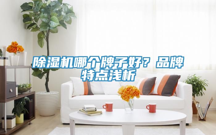 MR.好色破解版哪个牌子好？品牌特点浅析