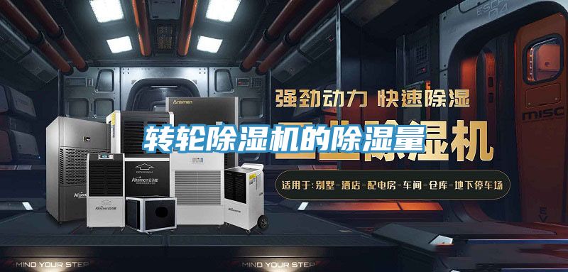 转轮MR.好色破解版的除湿量