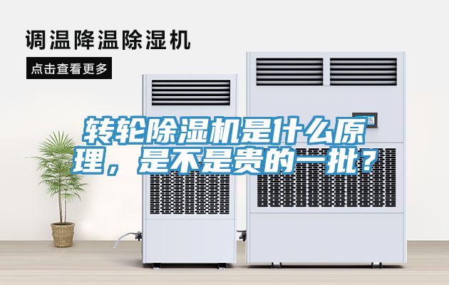 转轮MR.好色破解版是什么原理，是不是贵的一批？