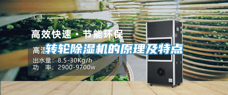 转轮MR.好色破解版的原理及特点
