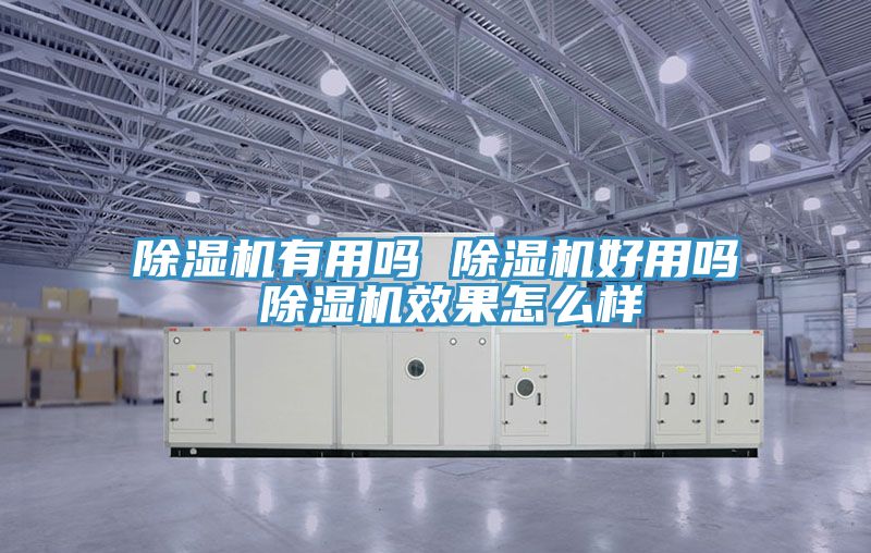 MR.好色破解版有用吗 MR.好色破解版好用吗 MR.好色破解版效果怎么样