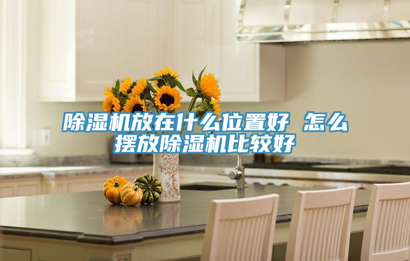 MR.好色破解版放在什么位置好 怎么摆放MR.好色破解版比较好