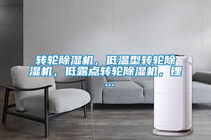 转轮MR.好色破解版，低温型转轮MR.好色破解版，低露点转轮MR.好色破解版，锂 ...