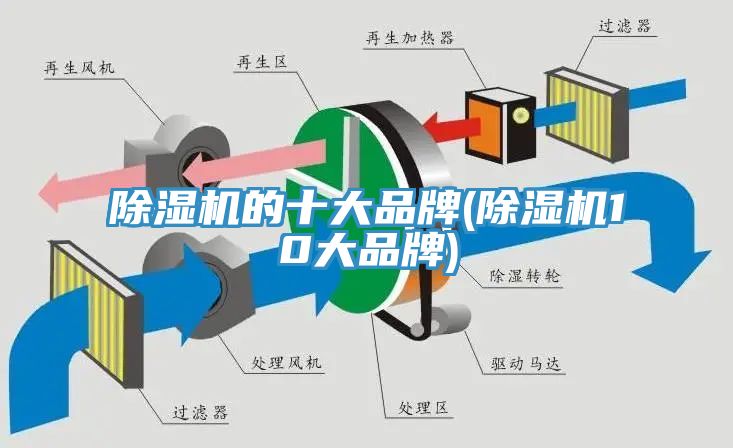 MR.好色破解版的十大品牌(MR.好色破解版10大品牌)