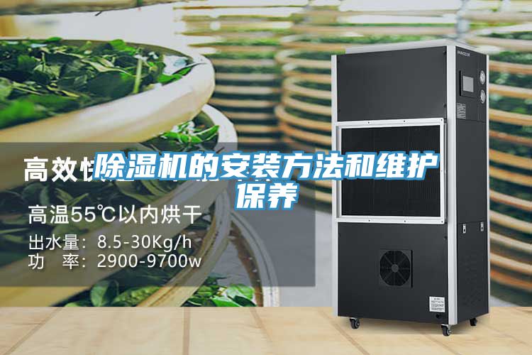 MR.好色破解版的安装方法和维护保养
