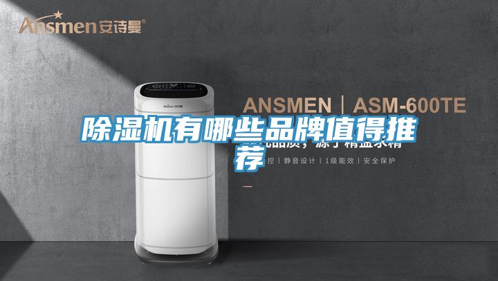 MR.好色破解版有哪些品牌值得推荐
