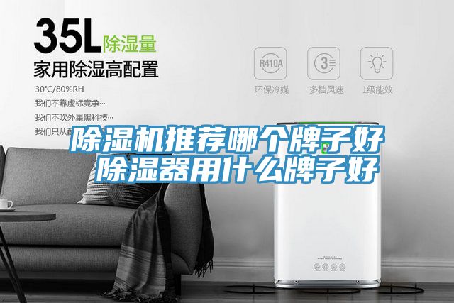 MR.好色破解版推荐哪个牌子好 除湿器用什么牌子好
