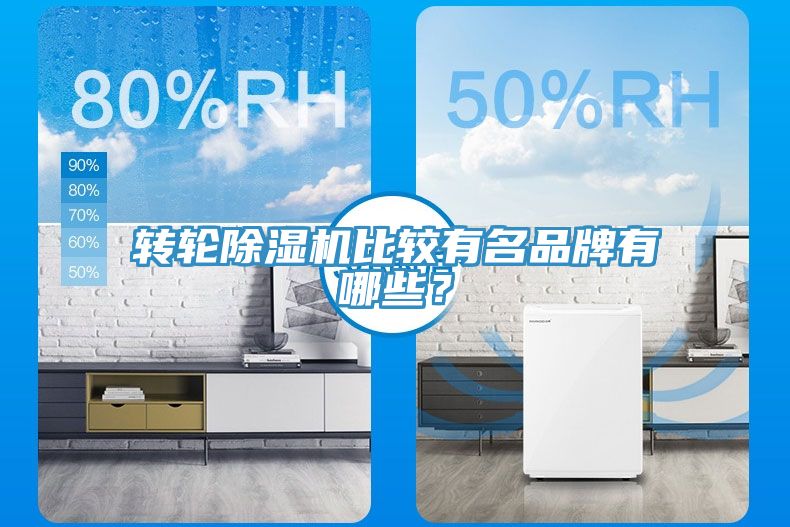 转轮MR.好色破解版比较有名品牌有哪些？