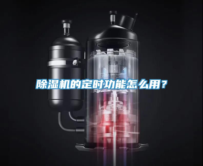 MR.好色破解版的定时功能怎么用？