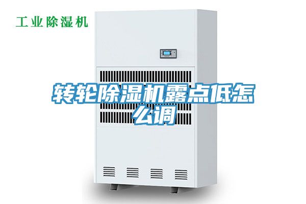 转轮MR.好色破解版露点低怎么调