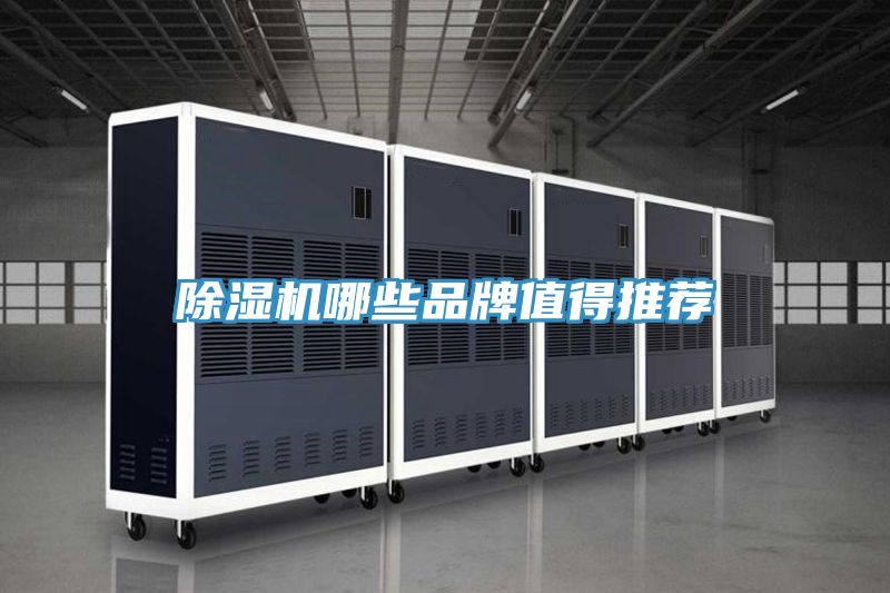 MR.好色破解版哪些品牌值得推荐