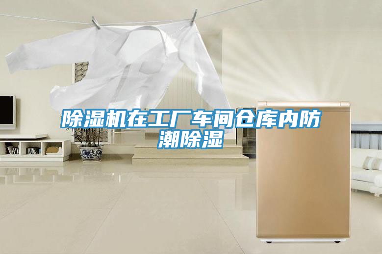 MR.好色破解版在工厂车间仓库内防潮除湿