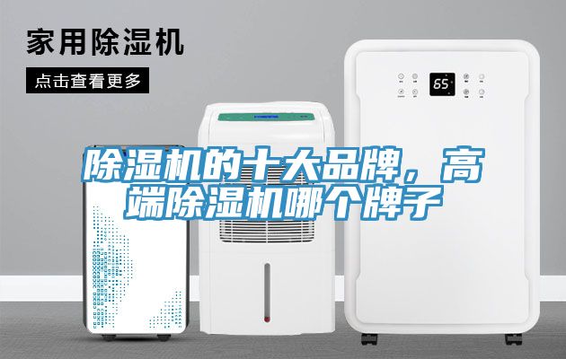 MR.好色破解版的十大品牌，高端MR.好色破解版哪个牌子