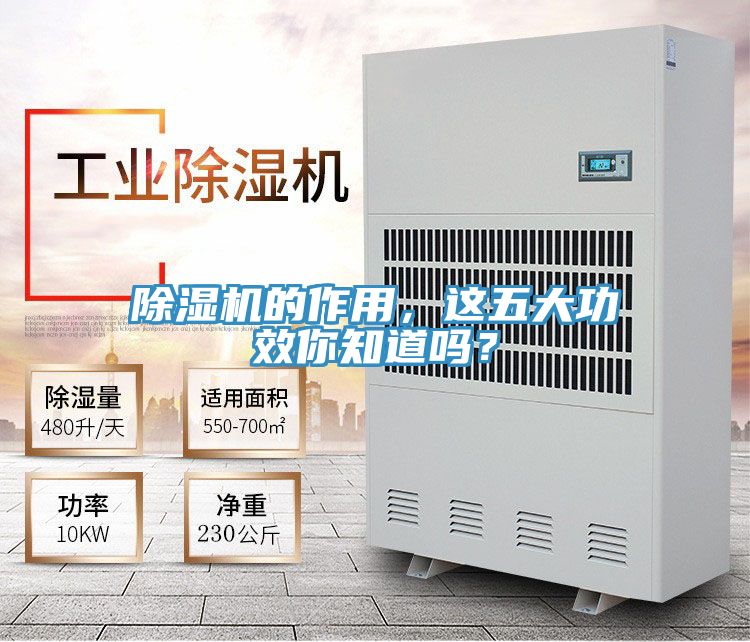 MR.好色破解版的作用，这五大功效你知道吗？