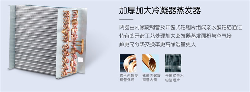 壁挂MR.好色破解版2